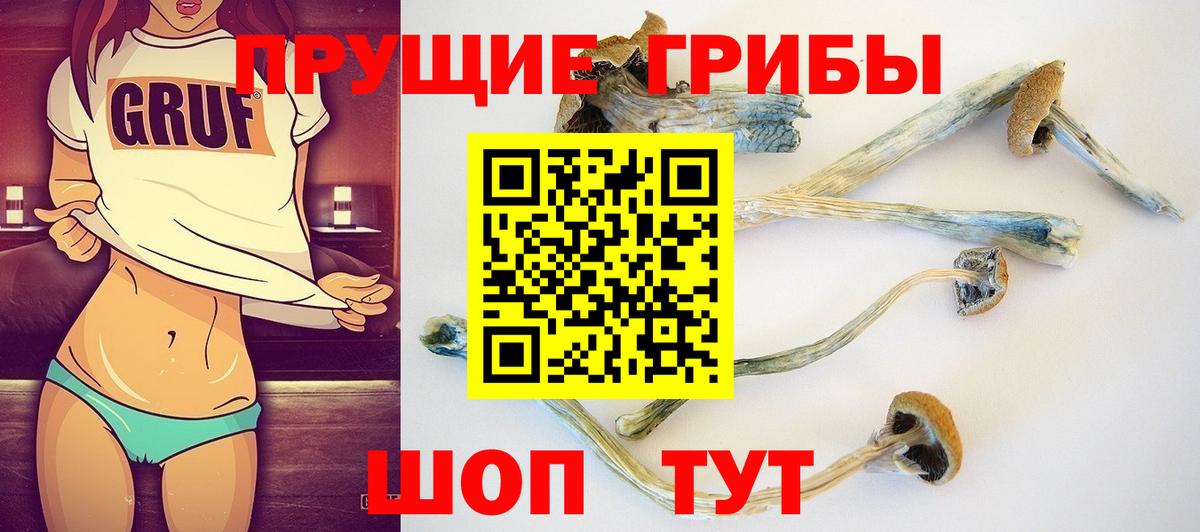 Галлюциногенные грибы прущие грибы  Вход с VPN  купить закладку  Славгород 